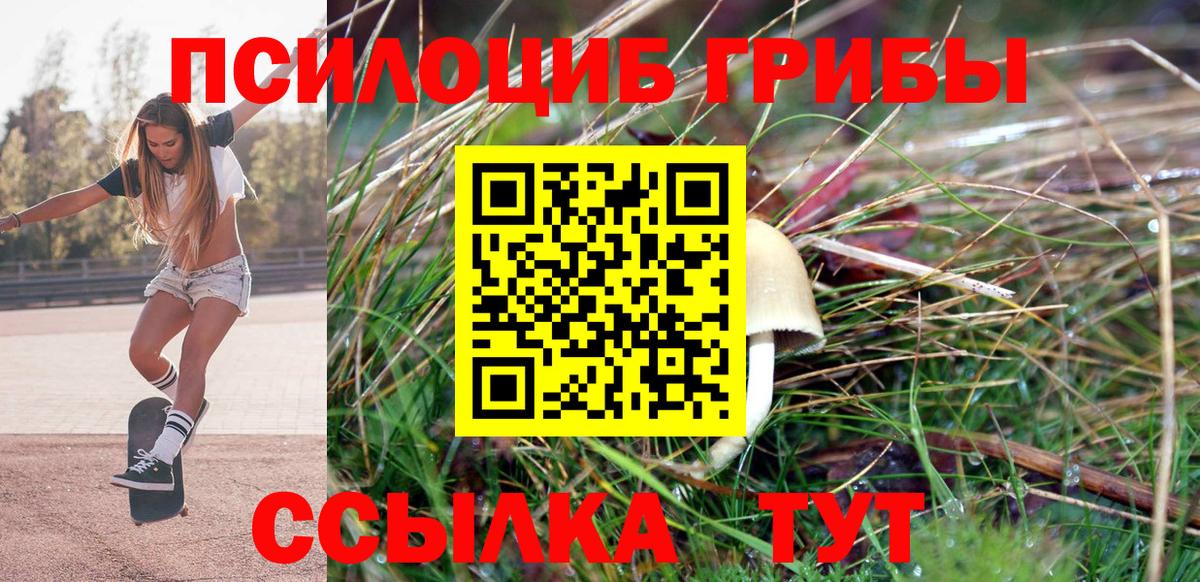 Волгоград  Псилоцибиновые грибы Magic Shrooms  Вход с VPN 