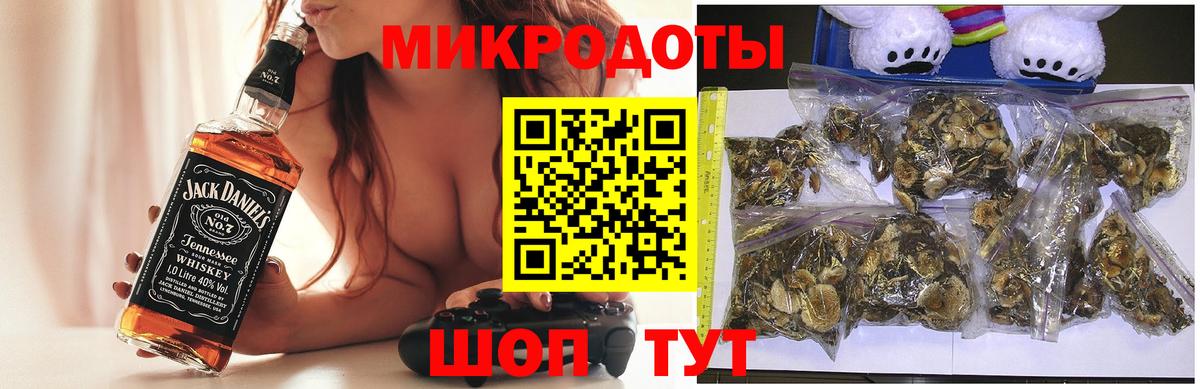 Псилоцибиновые грибы мицелий Волгоград